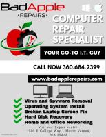 BadApple Repairs image 7